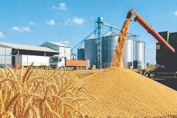 مطالبات گندمکاران باید به‌موقع پرداخت شود