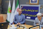 باسوادی در کردستان ۴۸ درصد رشد کرده است