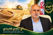بیش از ۲۲۵ هزار میلیارد ریال از مطالبات گندمکاران کردستان پرداخت شد