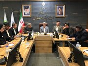 معاون استاندار کردستان: جمع‌آوری سگ‌های بلاصاحب باید به‌صورت مستمر انجام شود