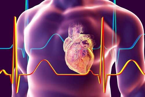 متخصص قلب: نوار قلب طبیعی همیشه به معنای سالم بودن قلب نیست
