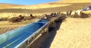 استقرار ۷۵ آبشخور فلزی برای تأمین آب دام در مراتع کردستان