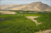 شناسایی ۲۲ مورد تخریب و تصرف اراضی ملی در قروه