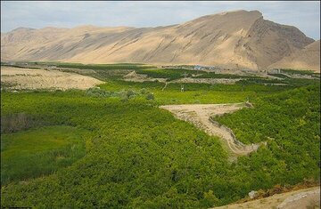شناسایی ۲۲ مورد تخریب و تصرف اراضی ملی در قروه