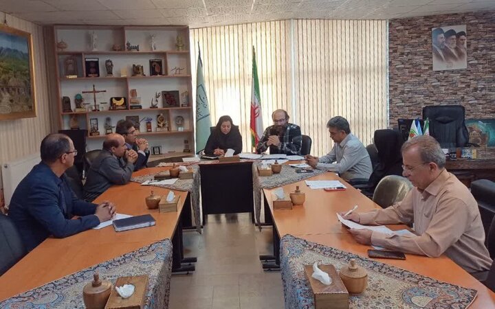 معاون صنایع‌ دستی کردستان: تشکل حرفه‌ای زمینه ساماندهی فعالیت هنرمندان را فراهم می‌کند