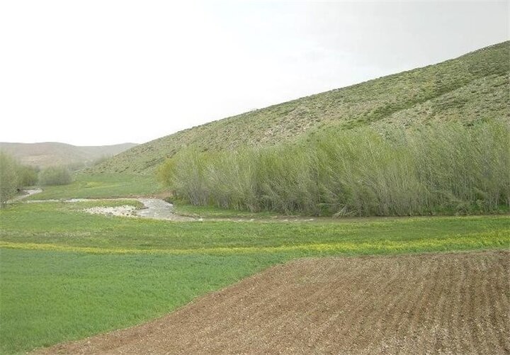 ۹۱ هزار مترمربع از اراضی تصرف‌شده در دیواندره به طبیعت بازگشت