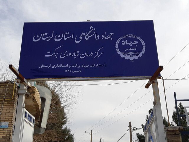 بازگشت امید در زوج‌های جوان/ مرکز درمان ناباروری جهاد دانشگاهی را حمایت می‌کنیم