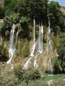 ورود به بیشه ممنوع است