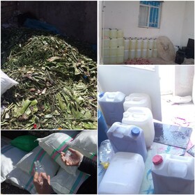 کشف کارگاه تولید مواد ضدعفونی غیر مجاز در ساوه
