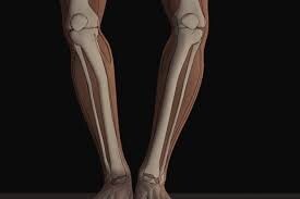 روش تشخیص پای پرانتزی، ضربدری و کف پای صاف و گود