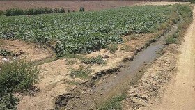 همچنان برخی مزارع و باغات لرستان با آب شرب آبیاری می‌شود