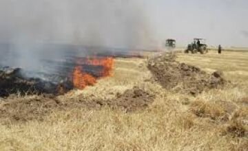 آتش زدن بقایای محصولات کشاورزی جرم محسوب می‌شود