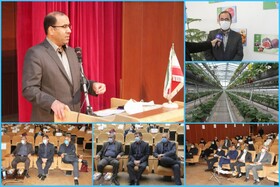 باید سه درصد زیر کشت گلخانه‌ای کشور در لرستان ایجاد شود