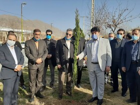 کاشت ۷۰۰۰ درخت به پاس ۷ هزار سال تمدن ایران‌زمین