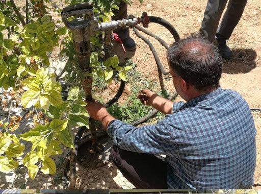 کوددهی درختان به روش تزریق در خاک