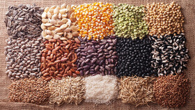 تولید سالانه حدود ۳۰ هزار تُن انواع بذر در لرستان