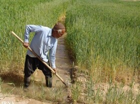 حضور ۱۵۵ هزار بهره‌بردار بخش کشاورزی در لرستان