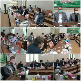 کاهش ۶۰ درصدی تولید و برداشت گندم در الیگودرز