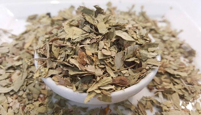سنا، گیاهی برای تقویت دستگاه گوارش