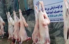 قربانی ۱۷۱۸ رأس دام و توزیع بین نیازمندان لرستان