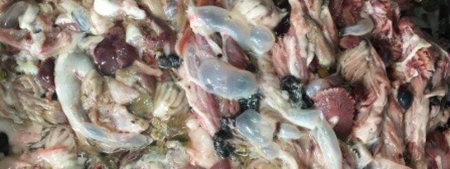 ۴ تُن ضایعات ماهی دریایی ضبط و معدوم شد