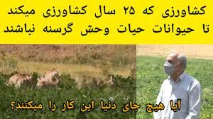 ۲۵ سال از حیات وحش منطقه حفاظت شده سفیدکوه ازنا پذیرایی میکنم ۲۵ سال از حیات وحش منطقه حفاظت شده سفیدکوه ازنا پذیرایی میکنم