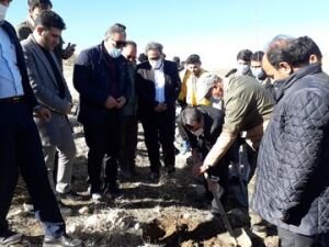 ۵۰۰ هکتار از اراضی سلسله با پویش ملی جنگل‌کاری احیا می‌شود