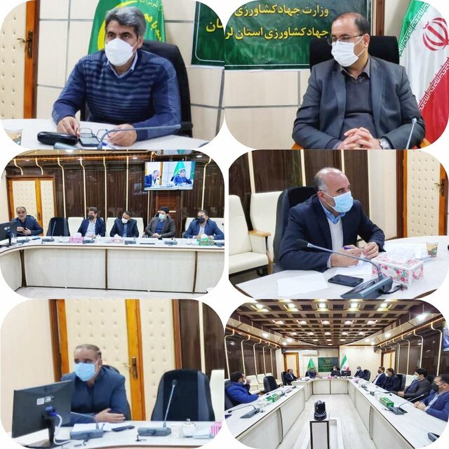 ۷ تا ۸ کیلوگرم کنسانتره برابر با ۱۲ کیلوگرم جو ارزش غذایی دارد ۷ تا ۸ کیلوگرم کنسانتره برابر با ۱۲ کیلوگرم جو ارزش غذایی دارد