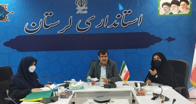 شورای توسعه و حمایت از سازمان‌های مردم‌نهاد در راستای سازمان‌دهی سمن‌ها فعالیت کند