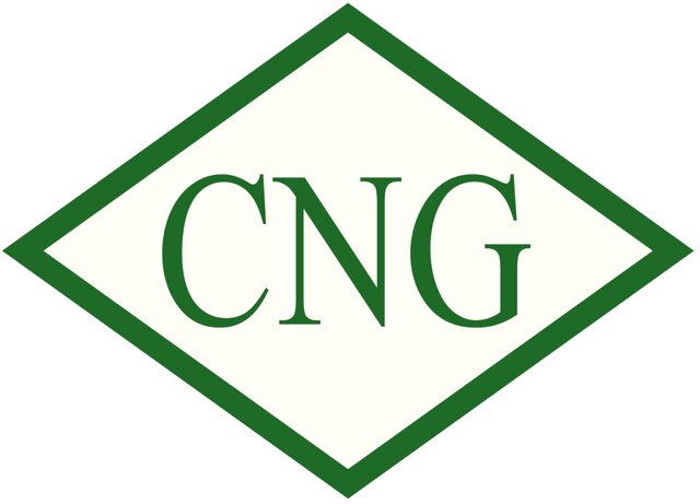 افزایش ۵ درصدی مصرف گاز CNG در لرستان