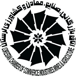 کمیسیون‌های تخصصی بازوان شورای گفت‌وگوی دولت و بخش خصوصی هستند