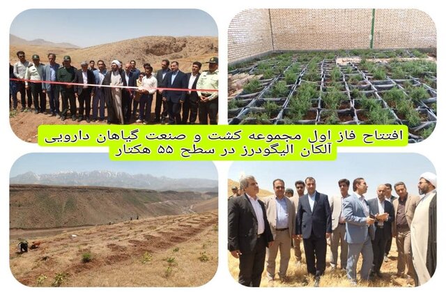  افتتاح فاز اول مجموعه کشت و صنعت گیاهان دارویی آلکان الیگودرز