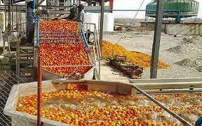 صنایع تبدیلی و غذایی در رشد و توسعه کشاورزی و رونق اقتصادی کشور نقش بسزایی دارد