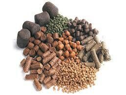 صادرات ١٠٠ تن خوراک ‌ماهیان گرم آبی از لرستان به کشور عراق