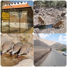 رفع مشکل آبرسانی به حیات‌وحش منطقه حفاظت‌شده سفیدکوه خرم‌آباد و پاسگاه محیط‌بانی یافته