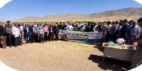 مدیریت مصرف آب کشاورزی با ترویج روش آبیاری موضعی تِیپ