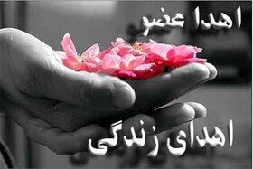 نجات سه نفر با اهدای اعضای بدن جوان لرستانی