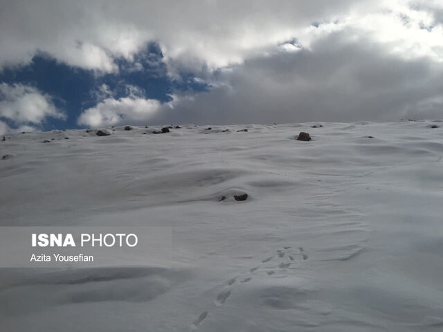 طبیعت برفی شهرستان دلفان