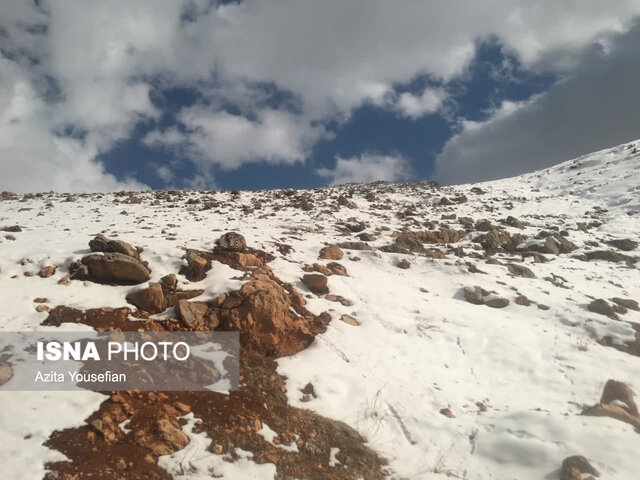 طبیعت برفی شهرستان دلفان 