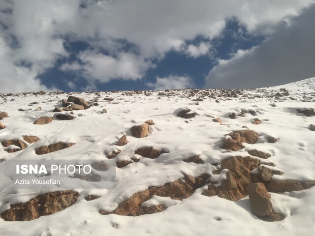 طبیعت برفی شهرستان دلفان