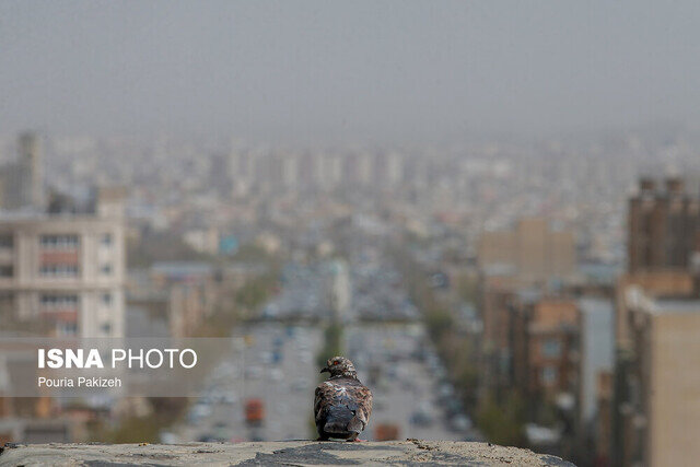 احتمال خیزش گرد و غبار در روزهای پایانی هفته در لرستان