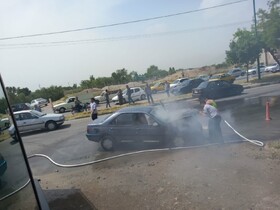 آمار نگران‌کننده حریق در علف‌های هرز سطح بروجرد