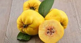 برداشت ۴۰۰ تُن میوه "به" در بروجرد