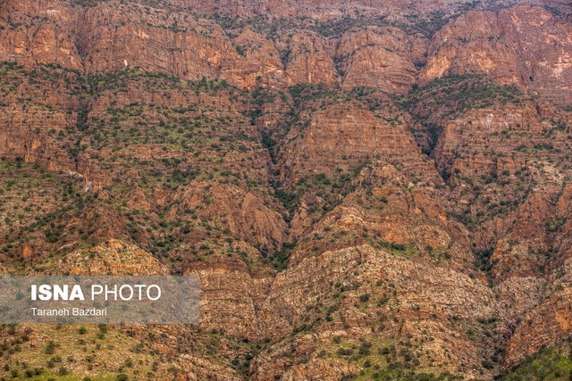 زوال بلوط و زاگرس بَرهوت