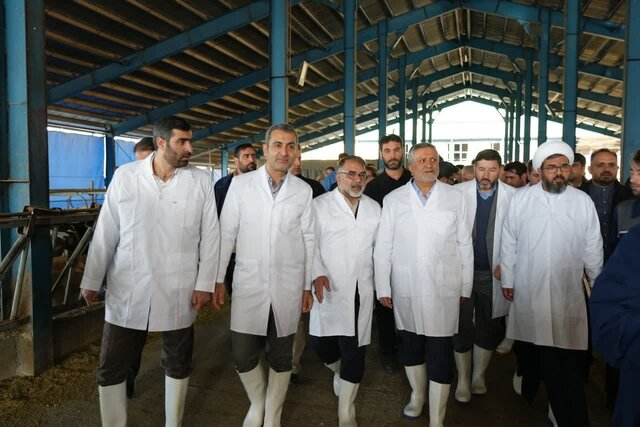 صنایع دستی، مشاغل خُرد خانگی، کوچک و بزرگ لرستان باید توسعه یابند صنایع دستی، مشاغل خُرد خانگی، کوچک و بزرگ لرستان باید توسعه یابند