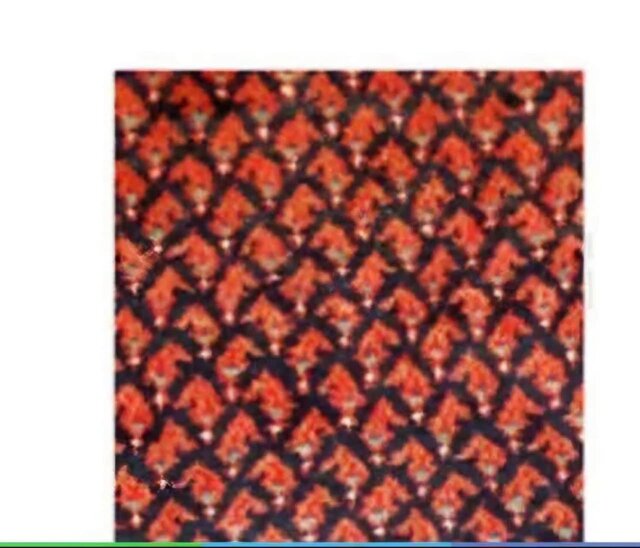 فرش بروجردی نمادی از هنر نبوغ فرهنگ و اصالت