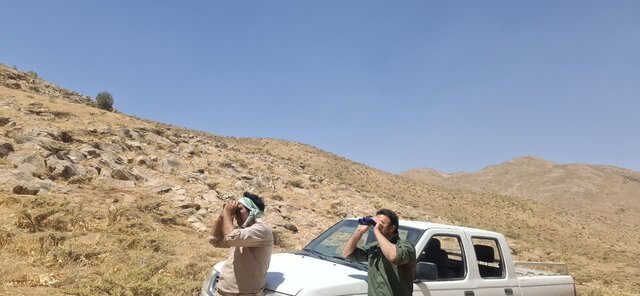 آغاز سرشماری حیاتوحش در مناطق تحت مدیریت لرستان آغاز سرشماری حیاتوحش در مناطق تحت مدیریت لرستان