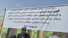 سایت احیاء و تکثیر گوزن زرد ایرانی لرستان، بزرگ‌ترین مجموعه کشور است