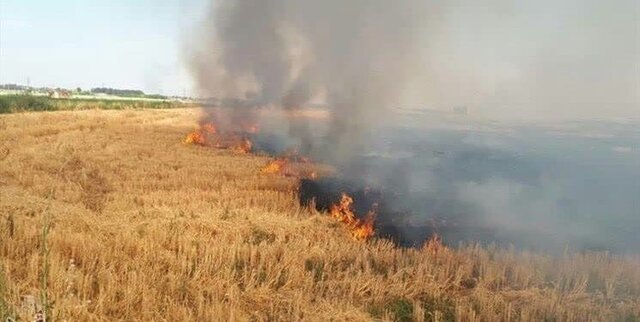 معرفی ٢٠ نفر از عوامل آتش‌ زدن بقایای گیاهی در پلدختر به دستگاه‌ قضایی