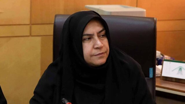 اجرای مفاد قانون برنامه هفتم سبب مهار نوسانات ارزی می‌شود